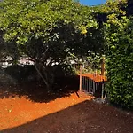 Tea Apartman
