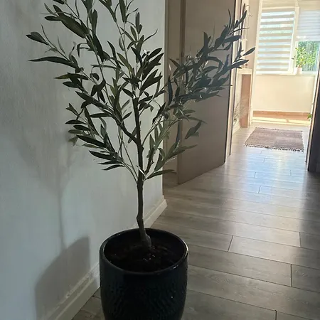 Apartamento Tea